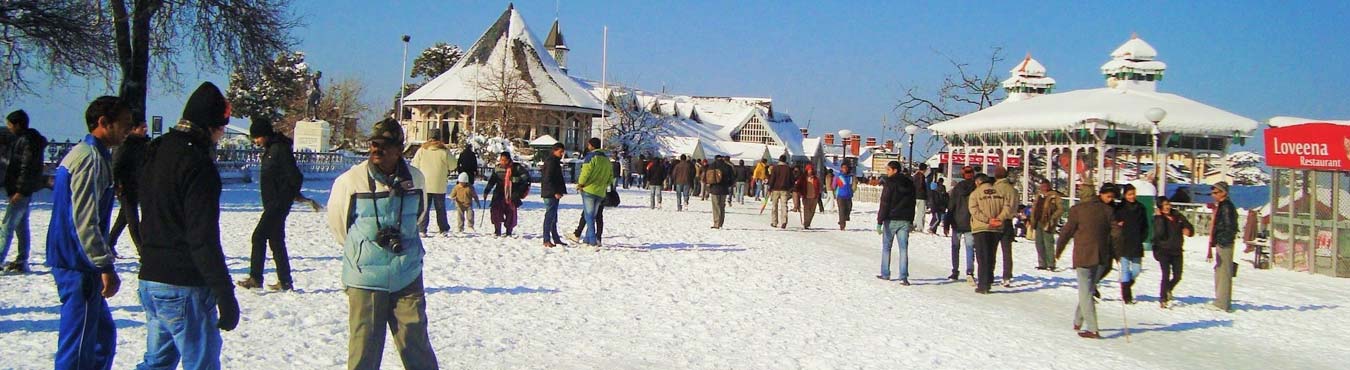 Best of Shimla Manali Tour