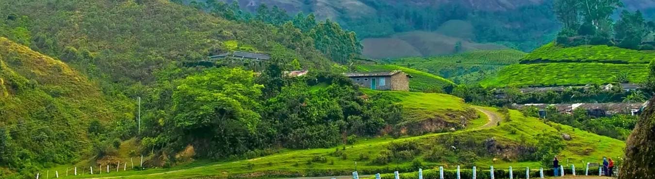 Splendid Tour to Hills Package