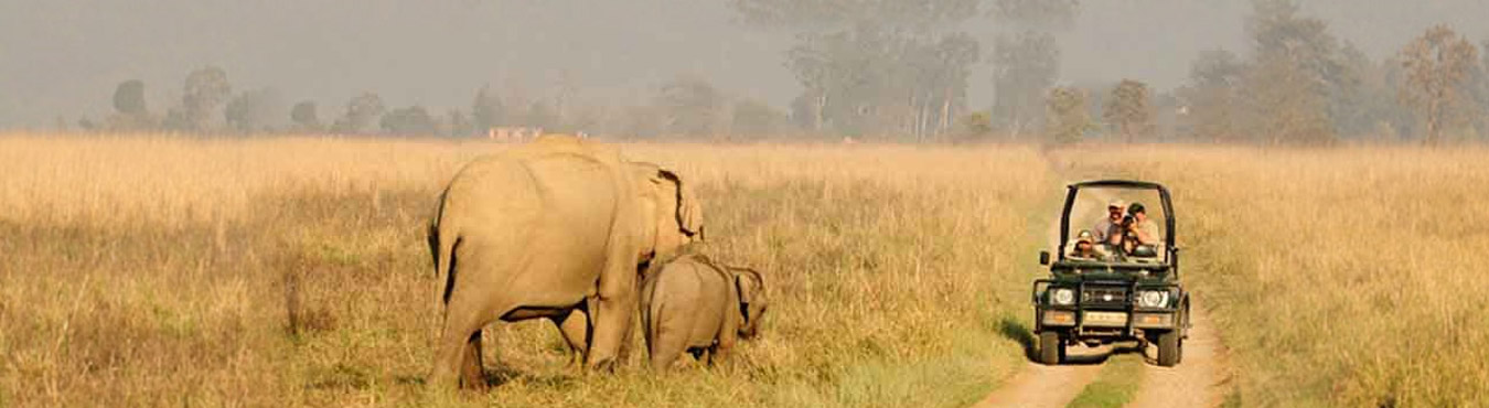 Corbett Wildlife Tour